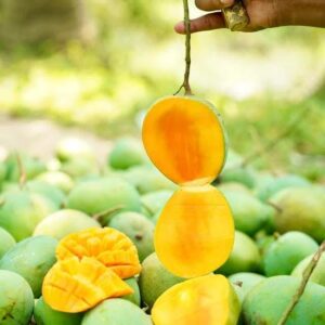 Mango | 12 KG